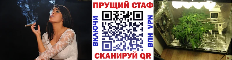 Галлюциногенные грибы Оленегорск