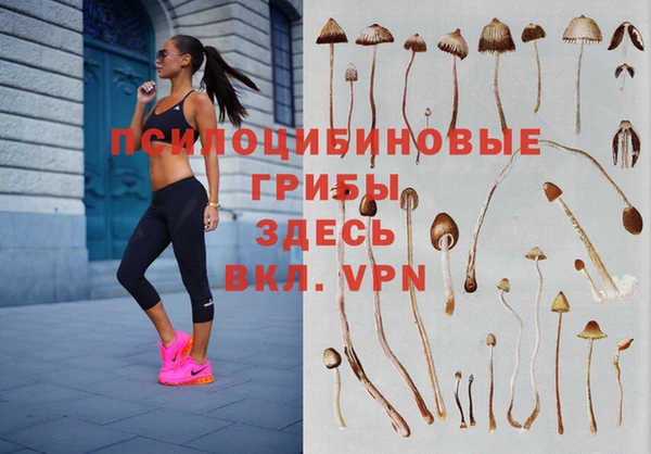 сатива Лагань