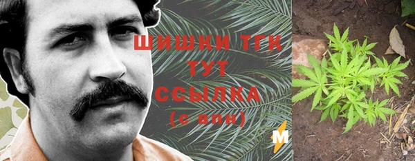 сатива Лагань